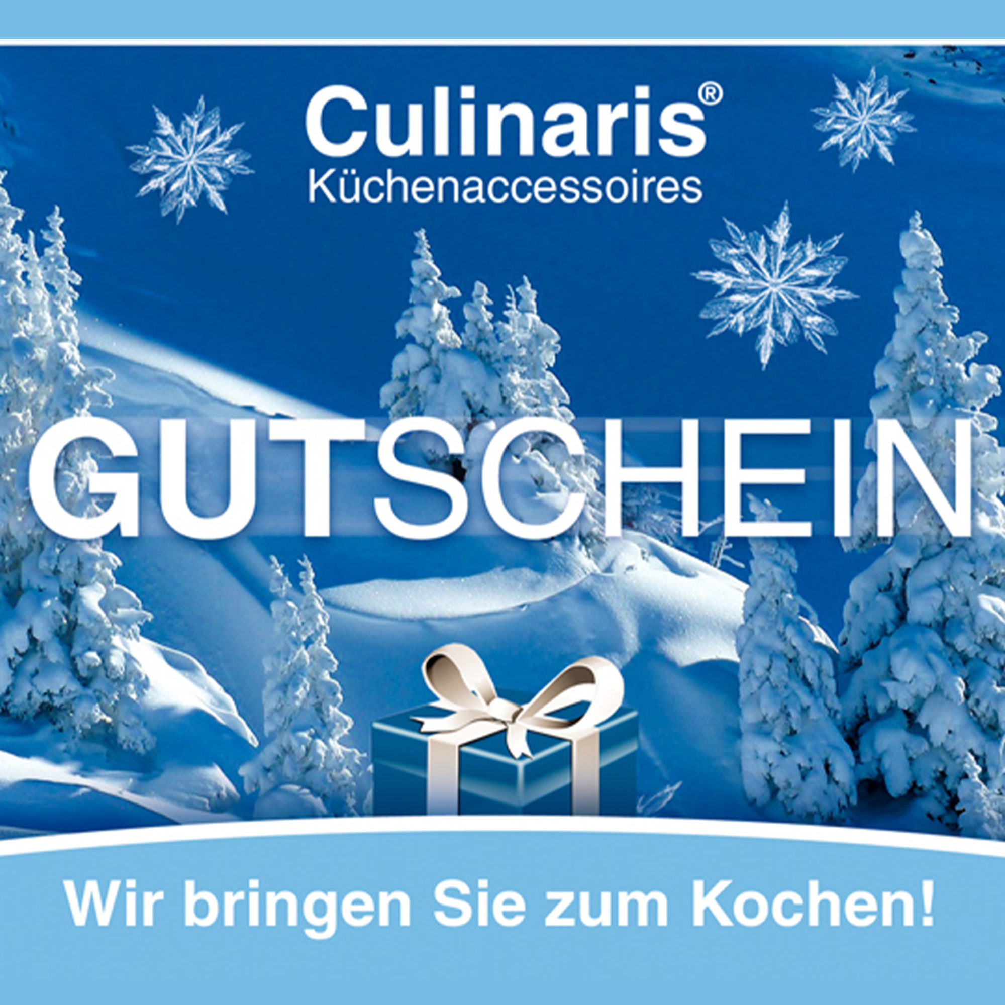 Store Gift Card - Winter - 30 €